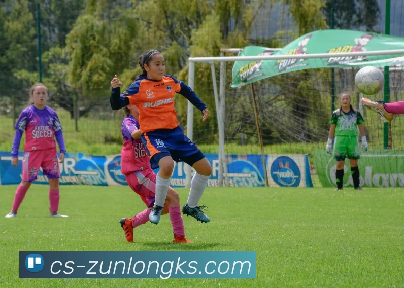 尊龙凯时官网APP 封面图